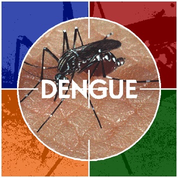 dengue01
